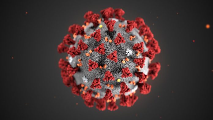 Спека не допоможе знищити коронавірус: інфекціоніст розвіяв міф