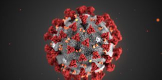 Спека не допоможе знищити коронавірус: інфекціоніст розвіяв міф
