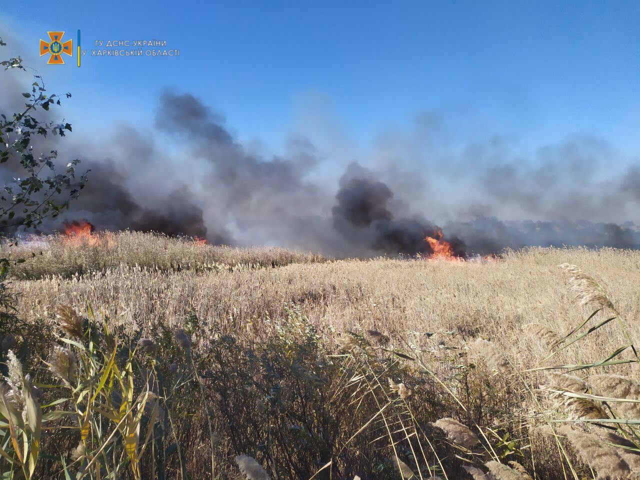 Рятувальники гасили пожежу в Балаклії